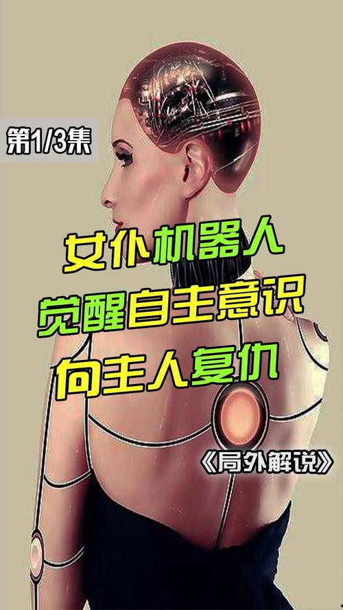 女佣机器在线观看,揭秘未来家庭服务者的秘密生活
